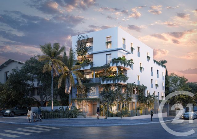 appartement - MONTPELLIER - 34