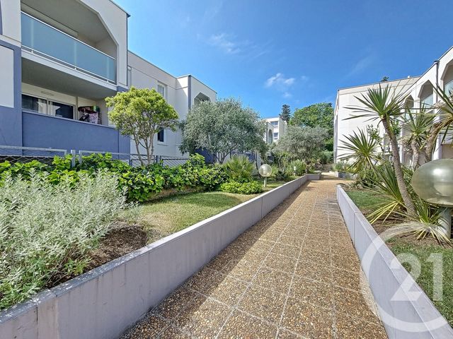 appartement - MONTPELLIER - 34