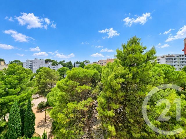 appartement - MONTPELLIER - 34